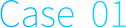 Case 01